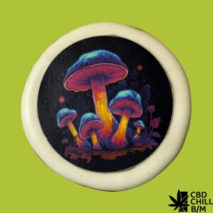 Пряник “MIX CBD / ГРИБИ” — снек з пантерним, червоним мухомором, їжовиком і CBD, бренд CBD Chill — Боб Марлі бар