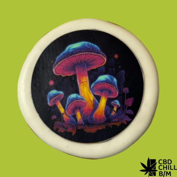 Пряник “MIX CBD / ГРИБИ” — снек з пантерним, червоним мухомором, їжовиком і CBD, бренд CBD Chill — Боб Марлі бар